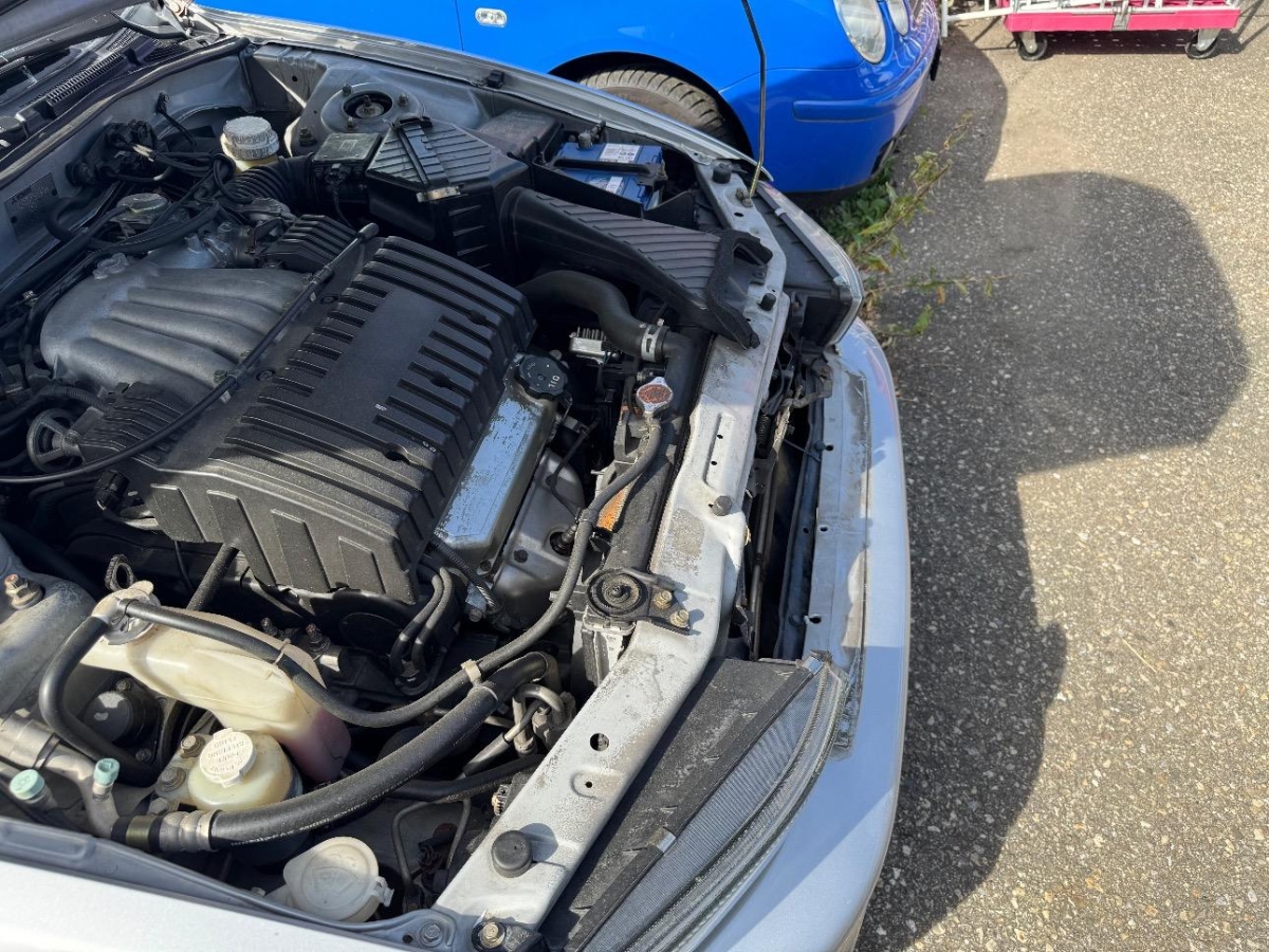 T11