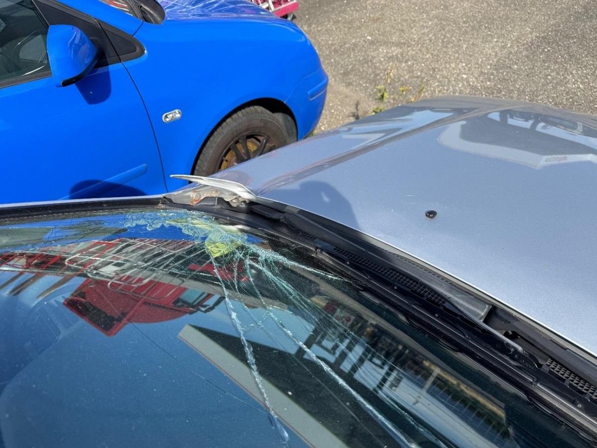 T16