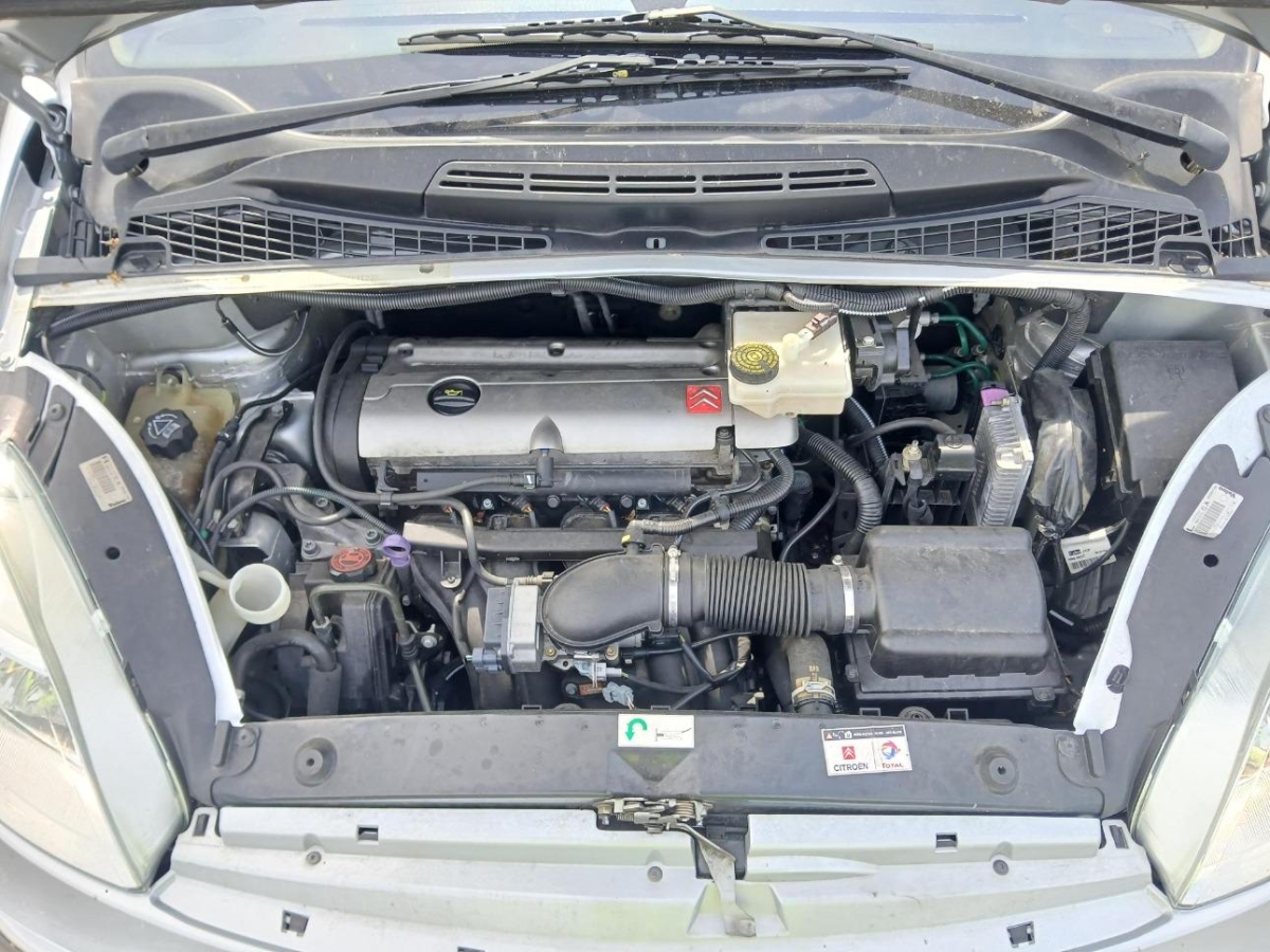 T11