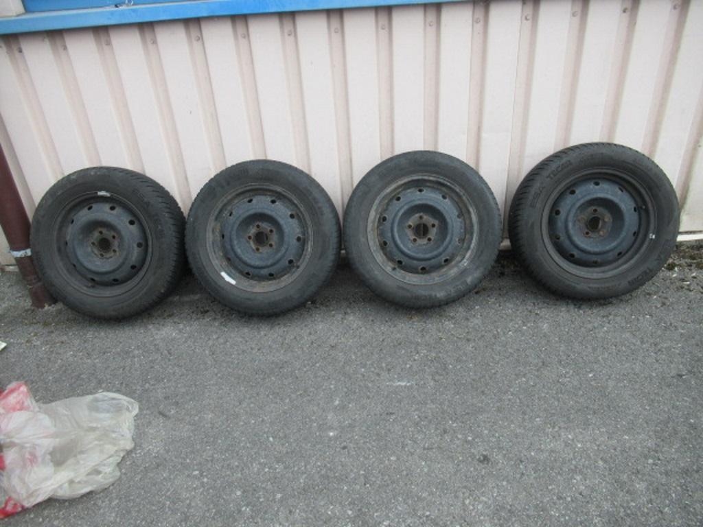 T19