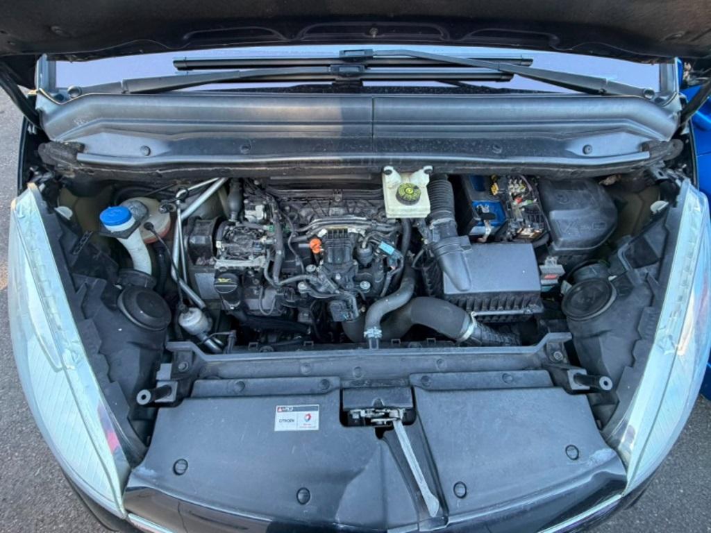 T11