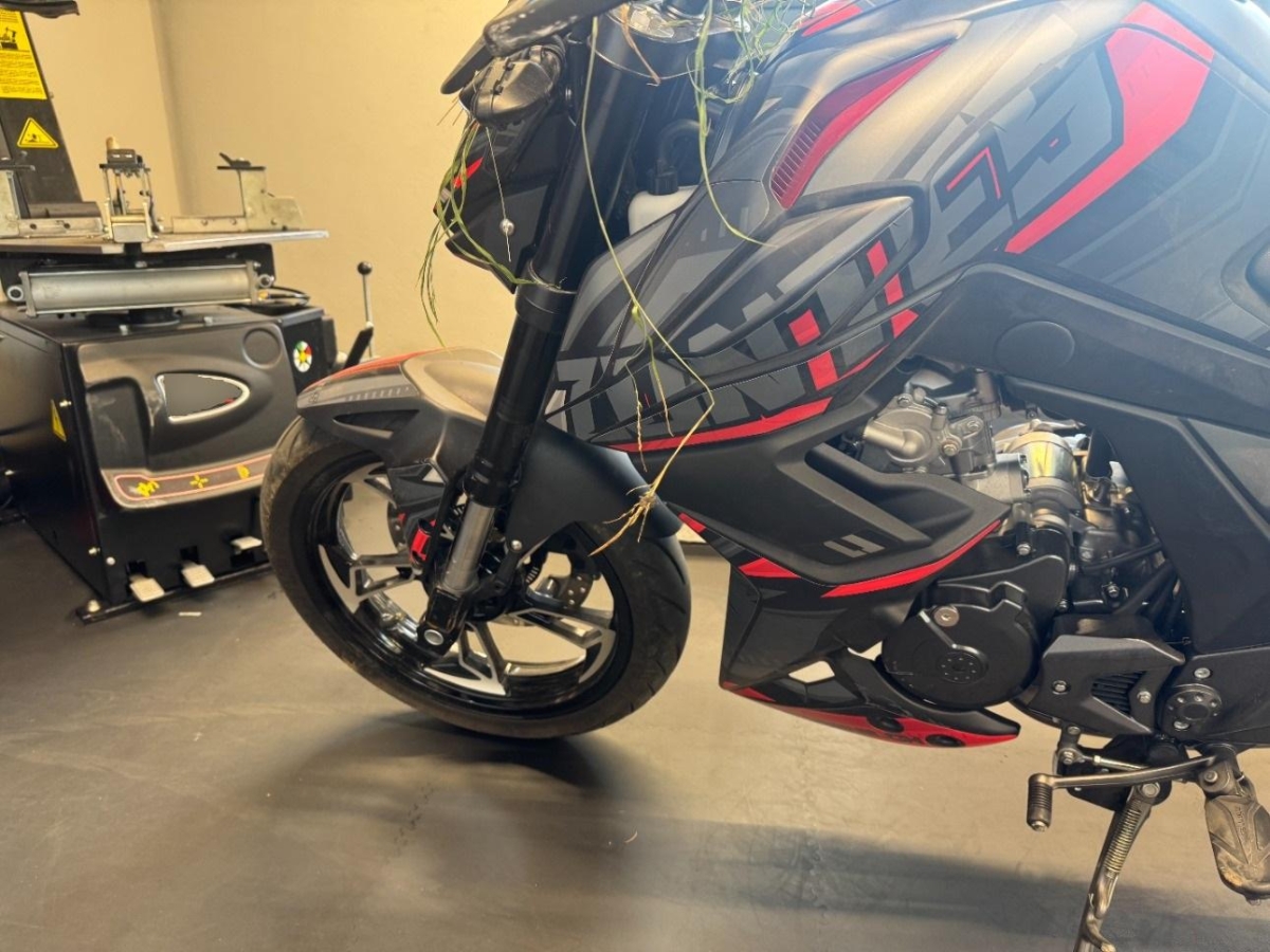 T11