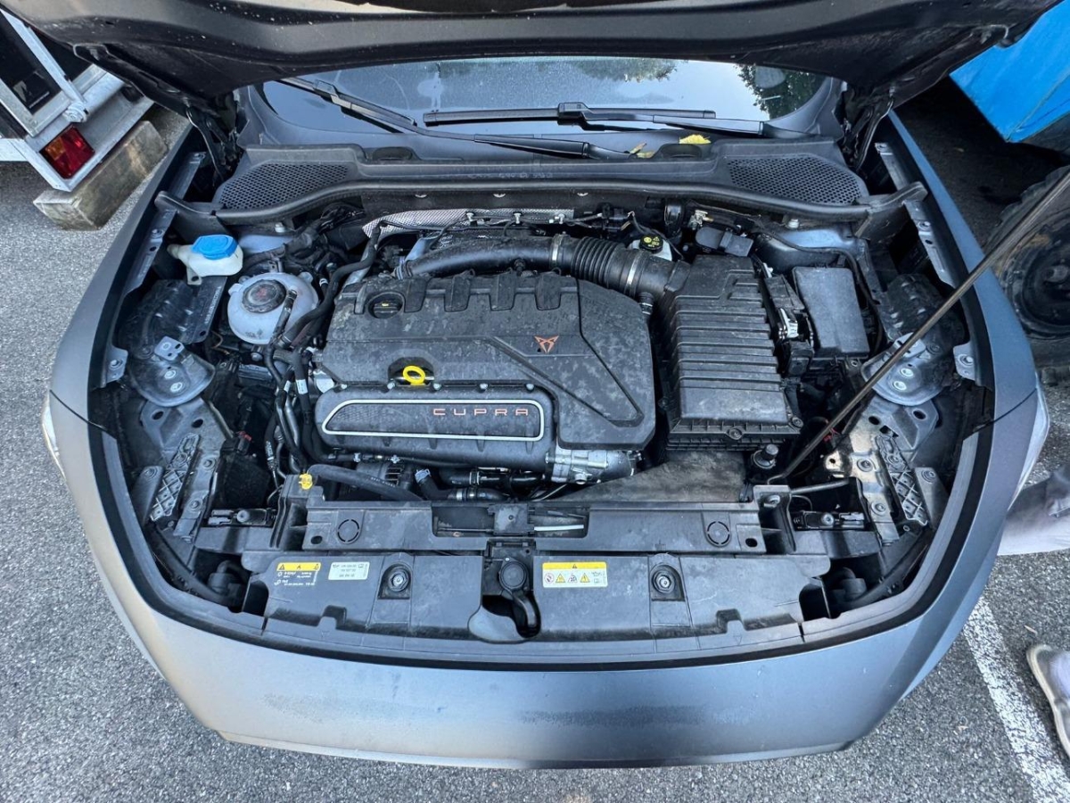 T11