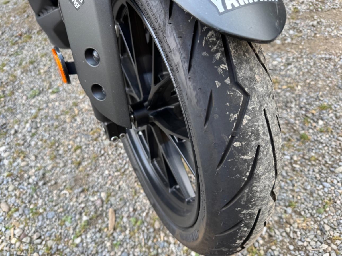 T19