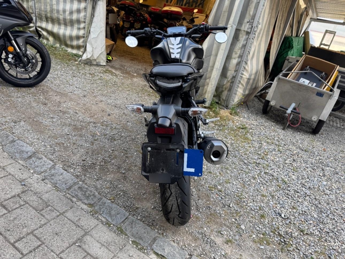 T2