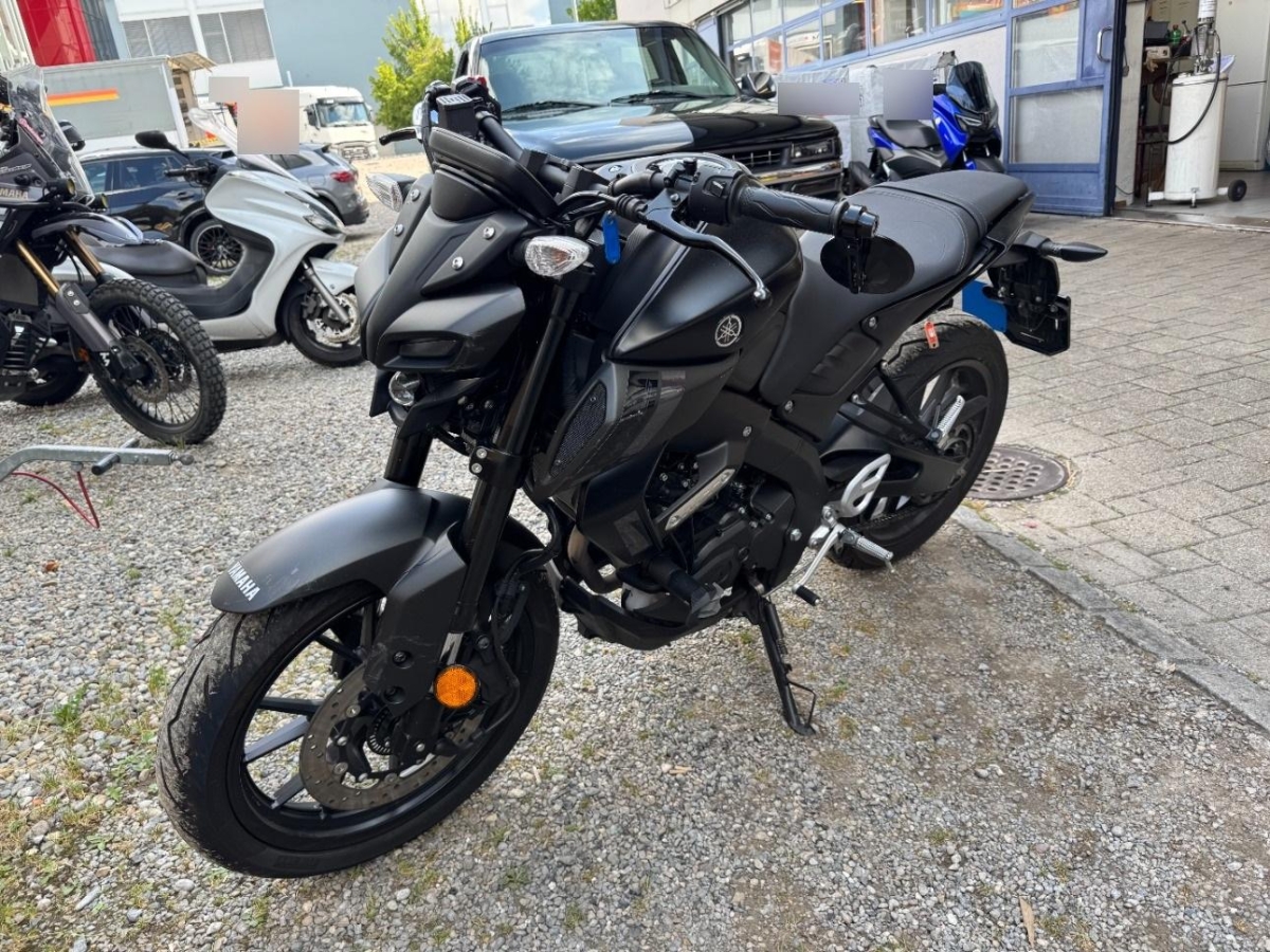 T5