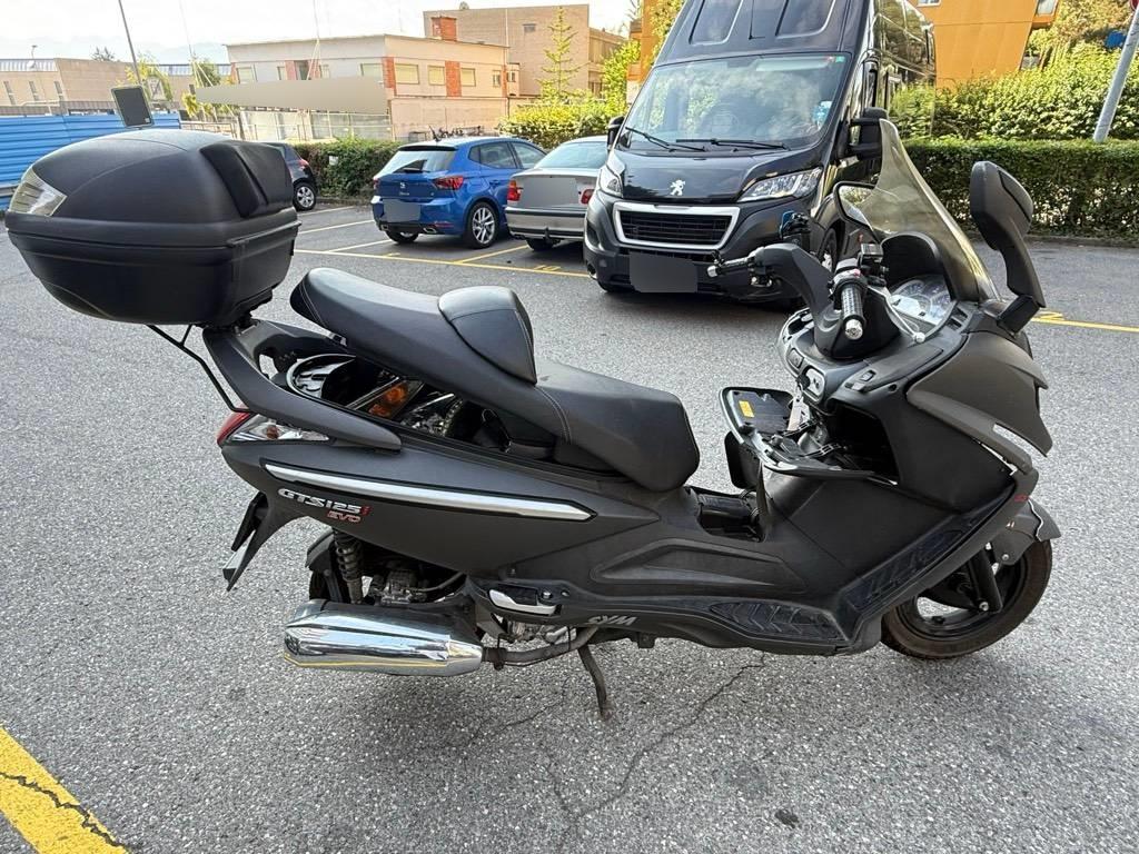T6