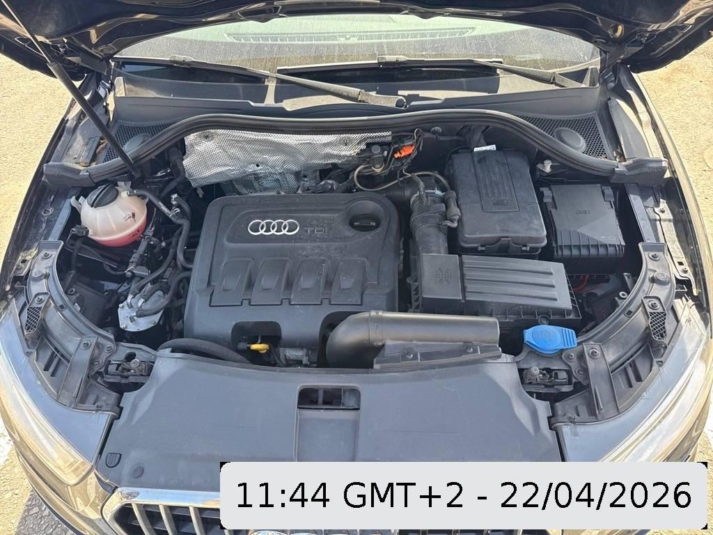T13