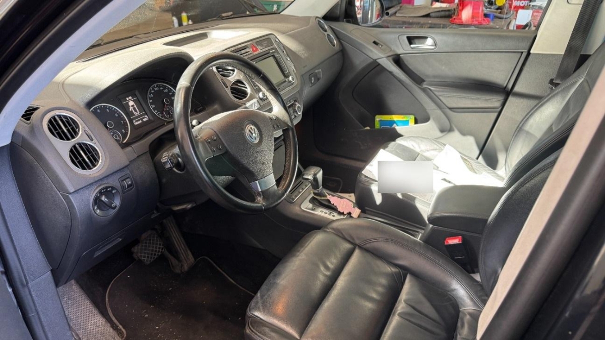 T6