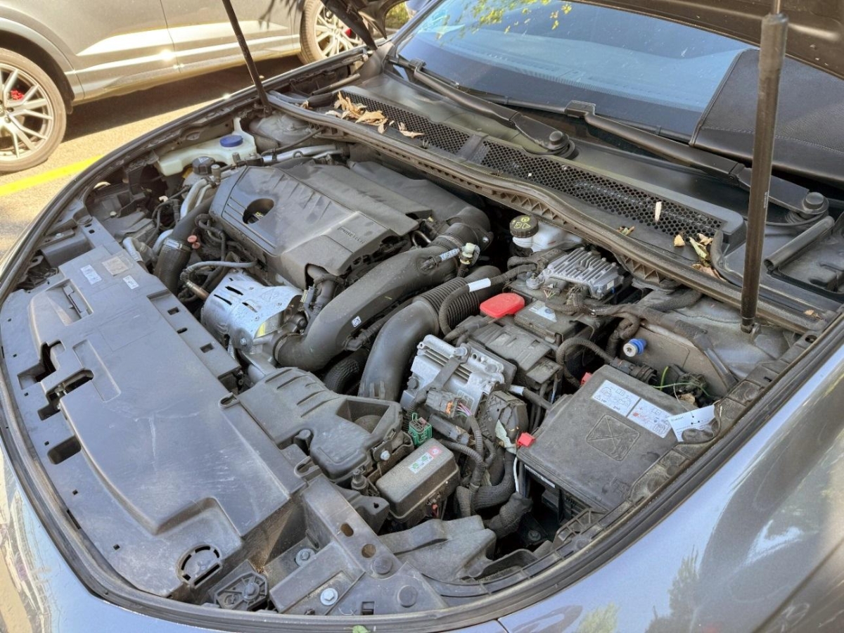 T13