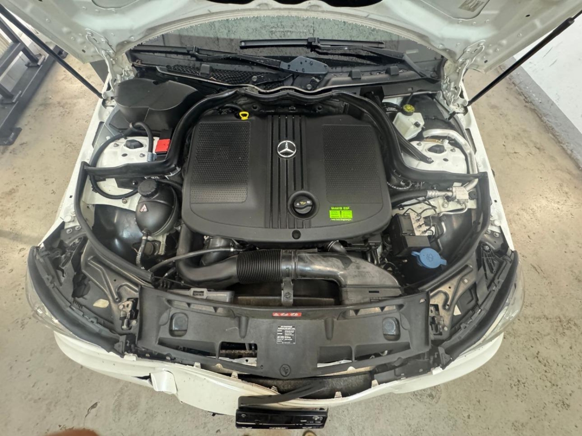 T11