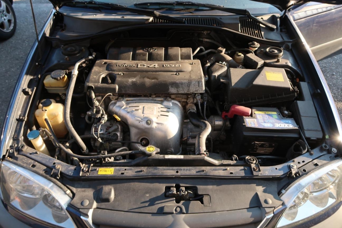 T14