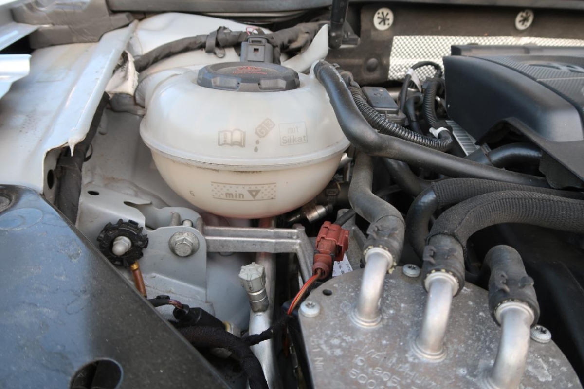 T12