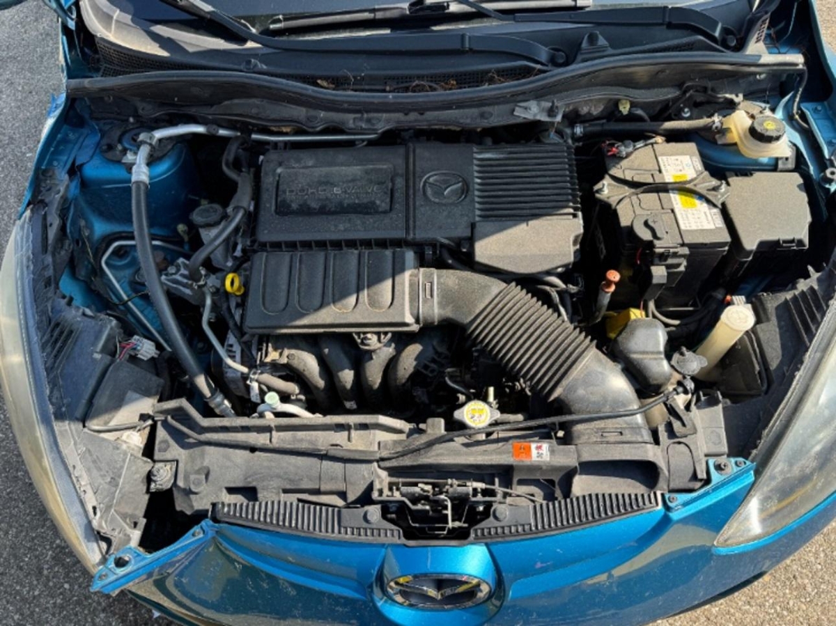 T11