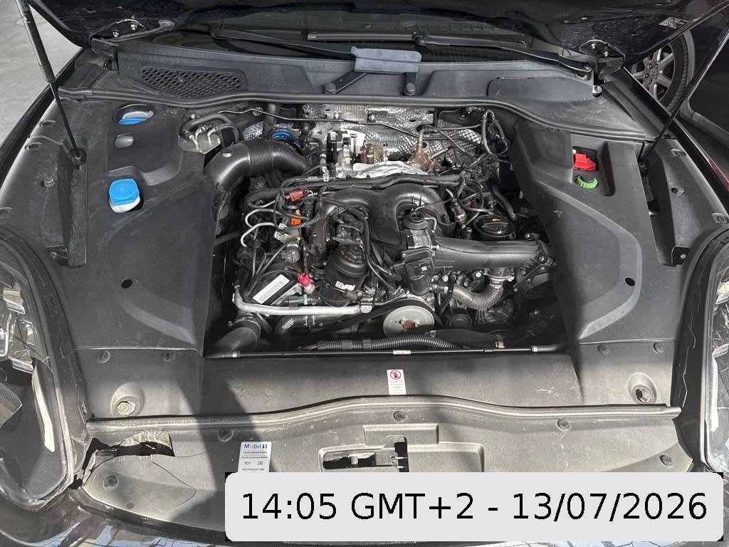 T11