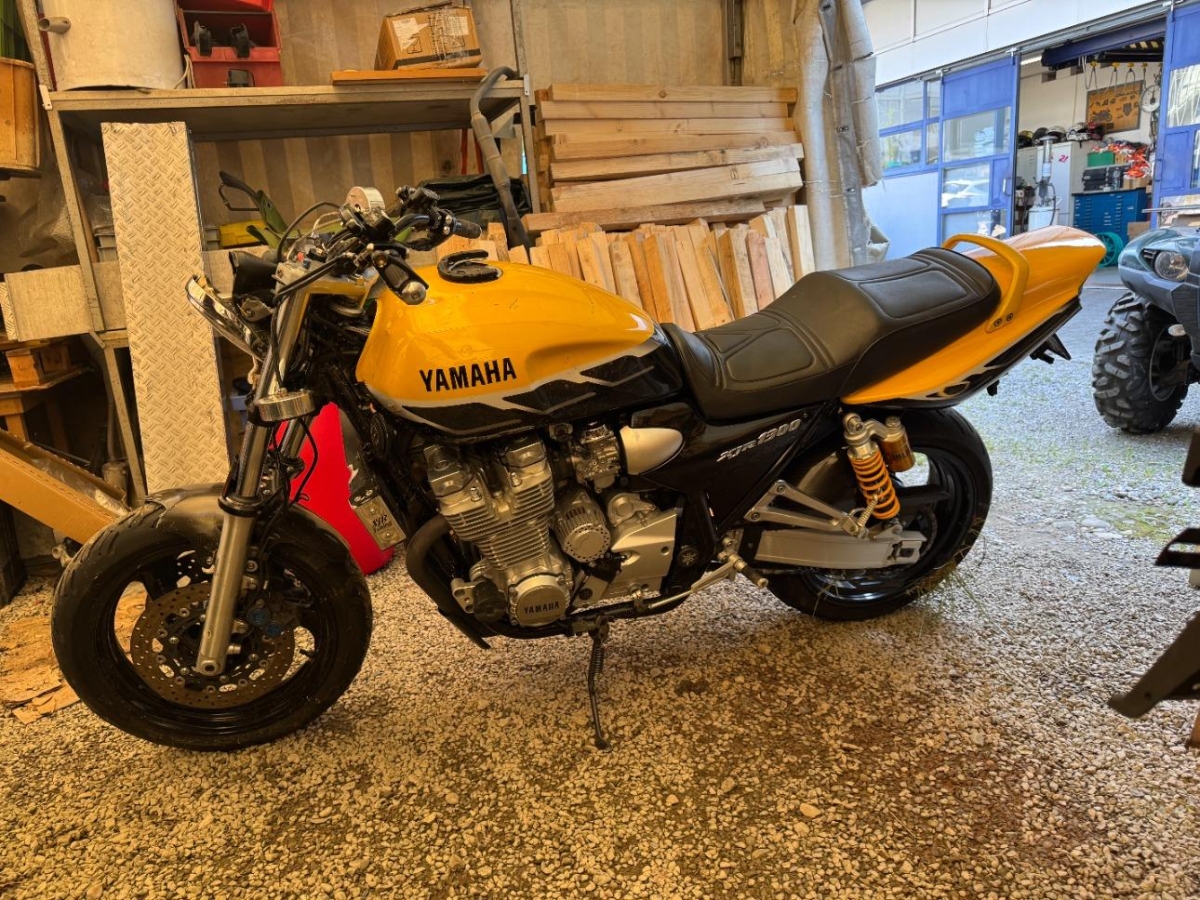 T5