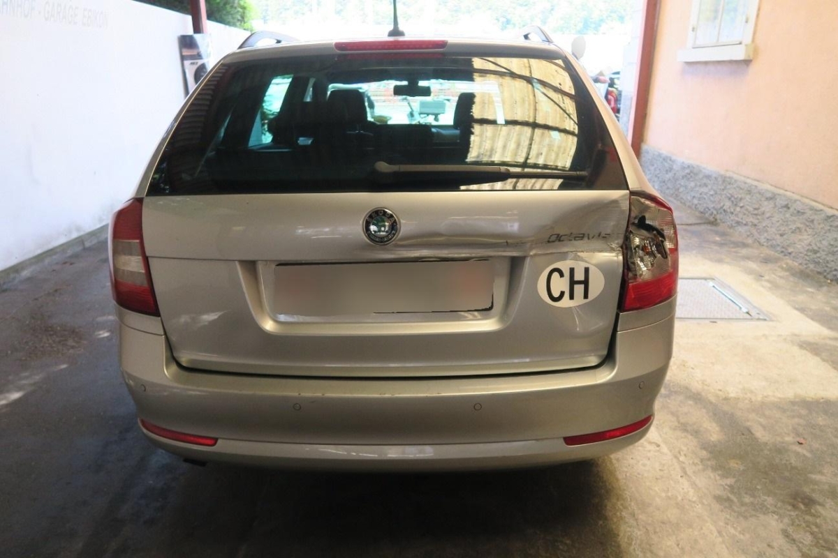 T6