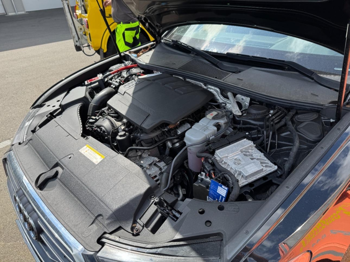 T12