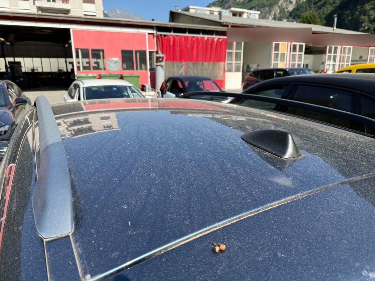 T15