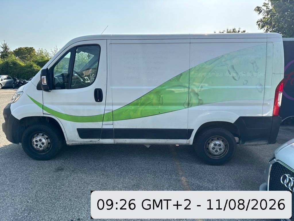 T6