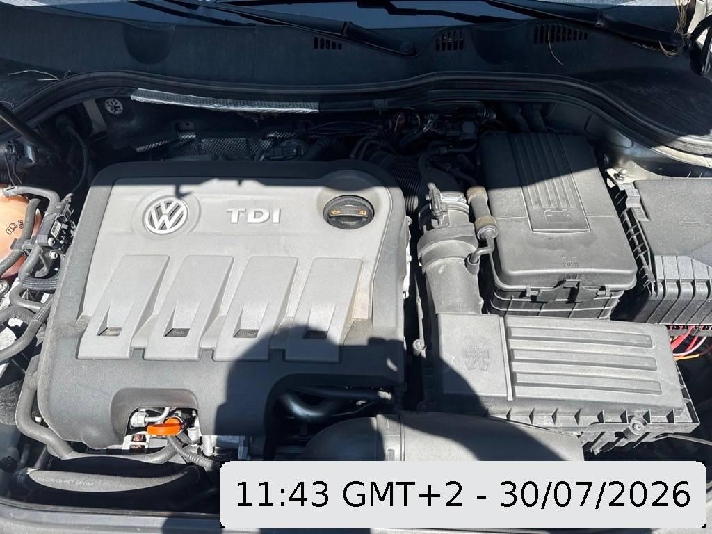 T13