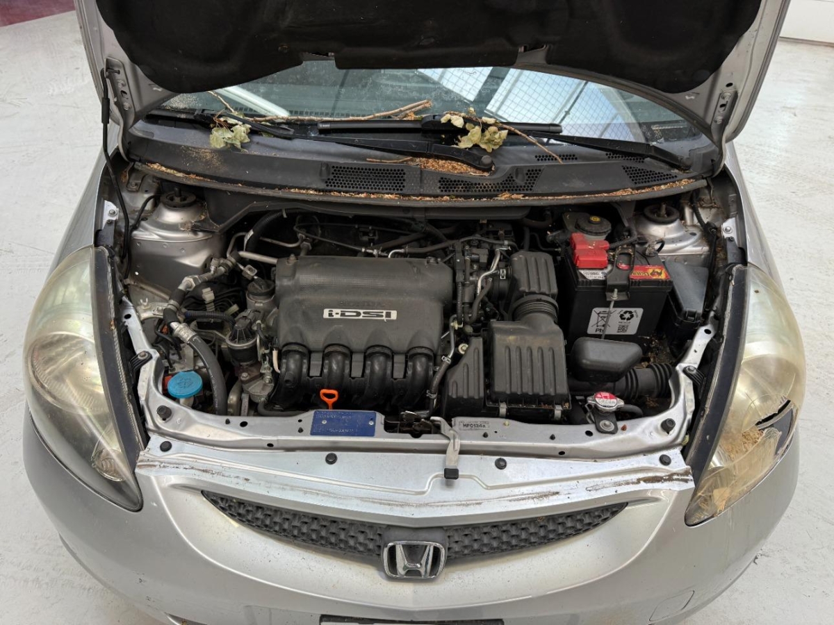 T11