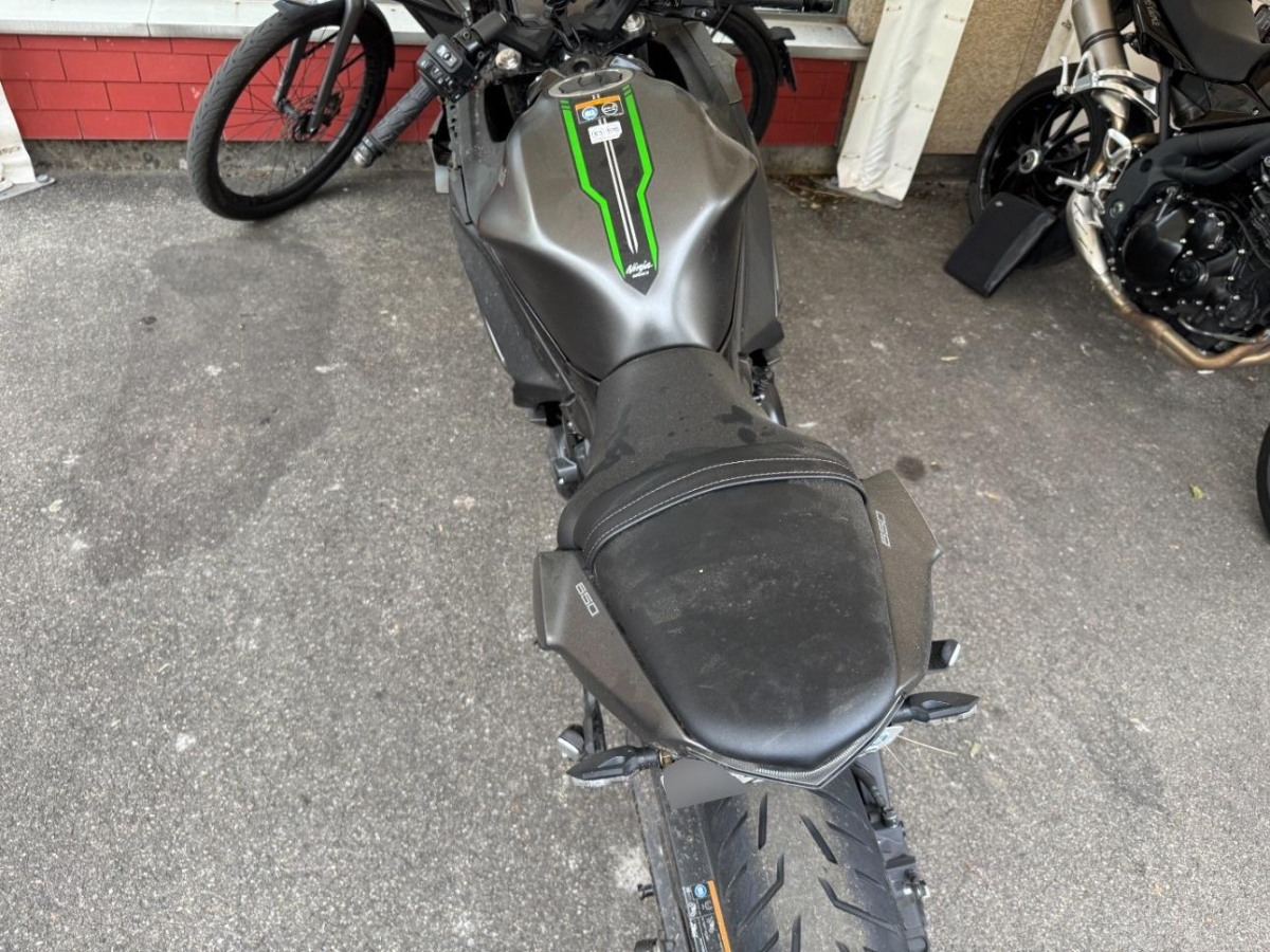 T19