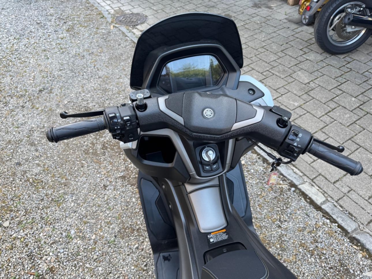 T11