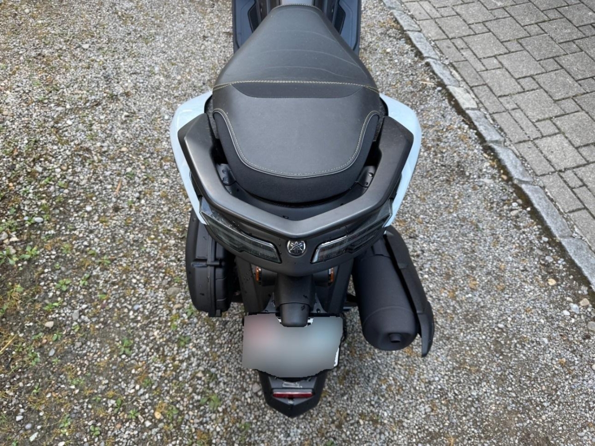 T16