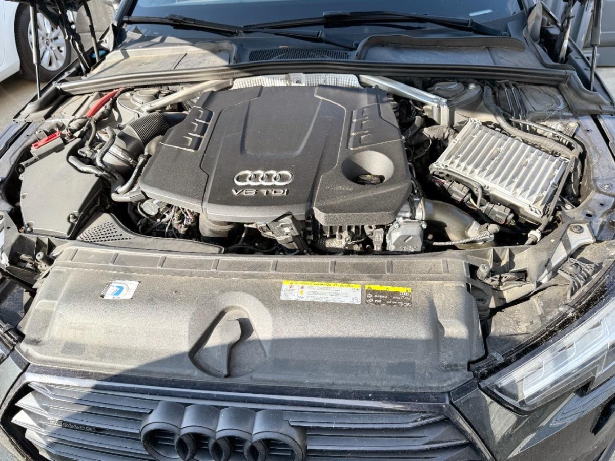 T11