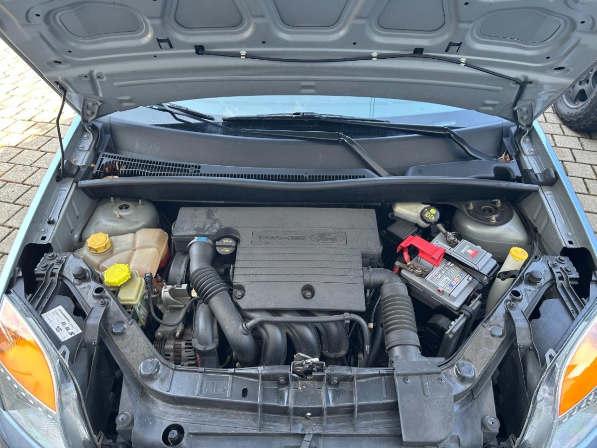 T12