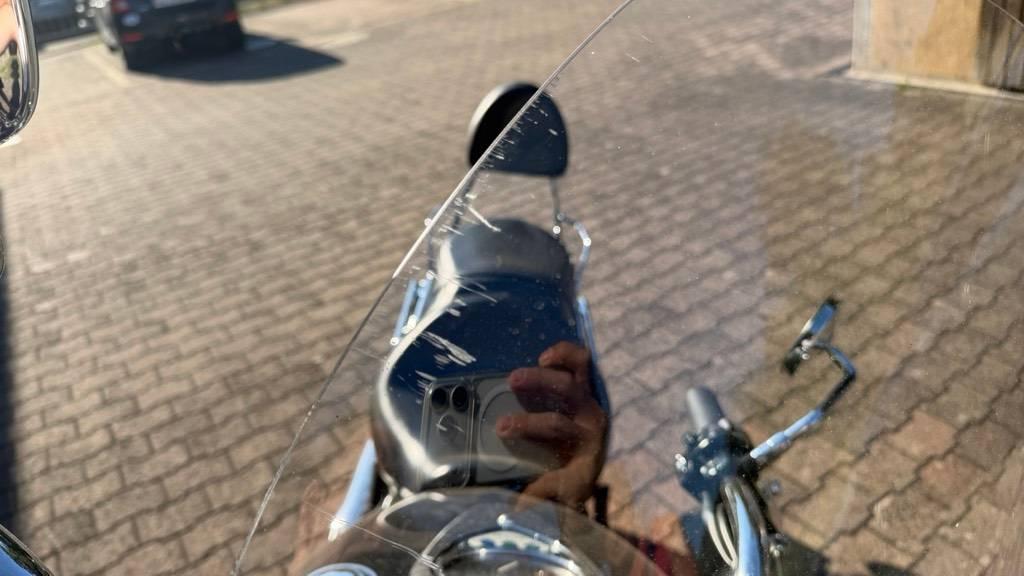 T11