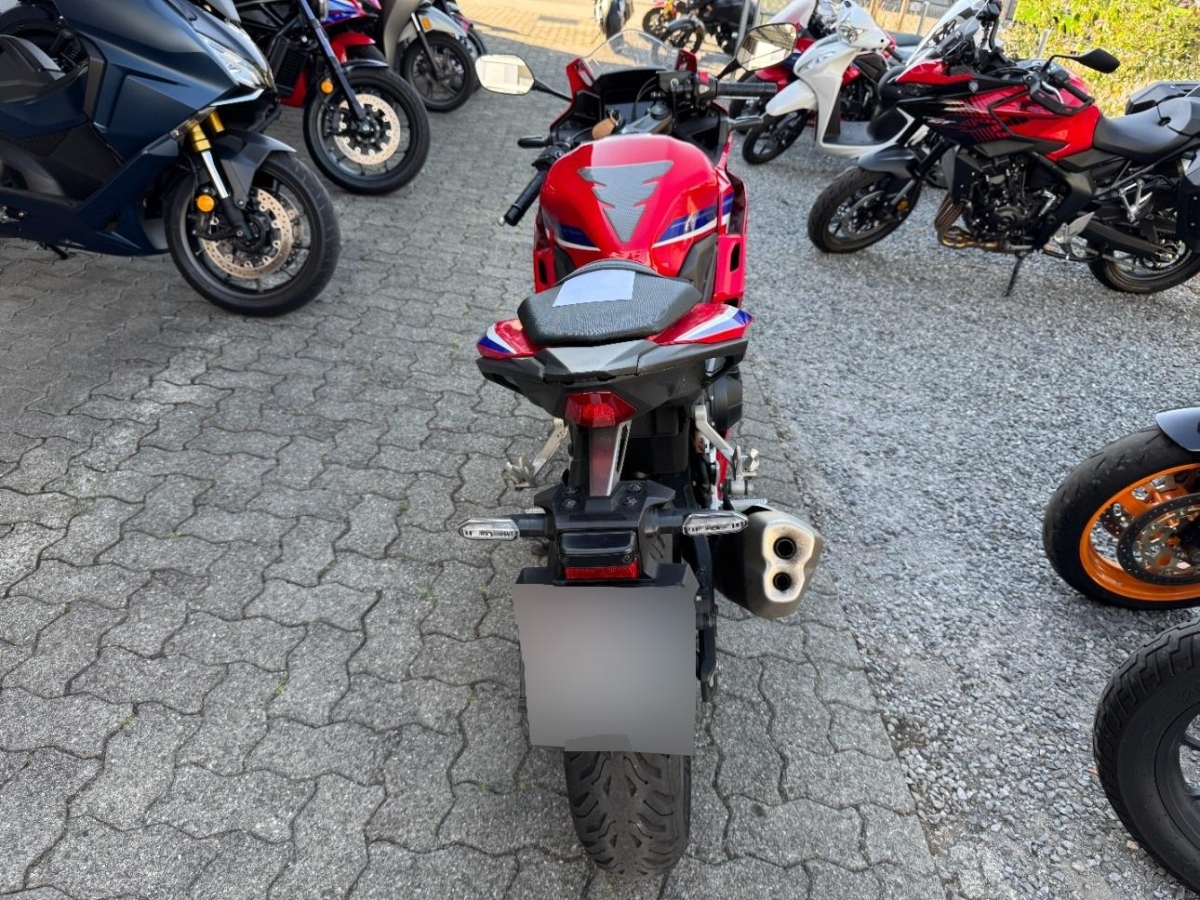 T5