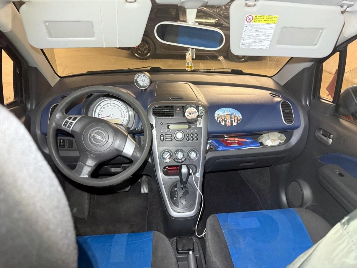 T6
