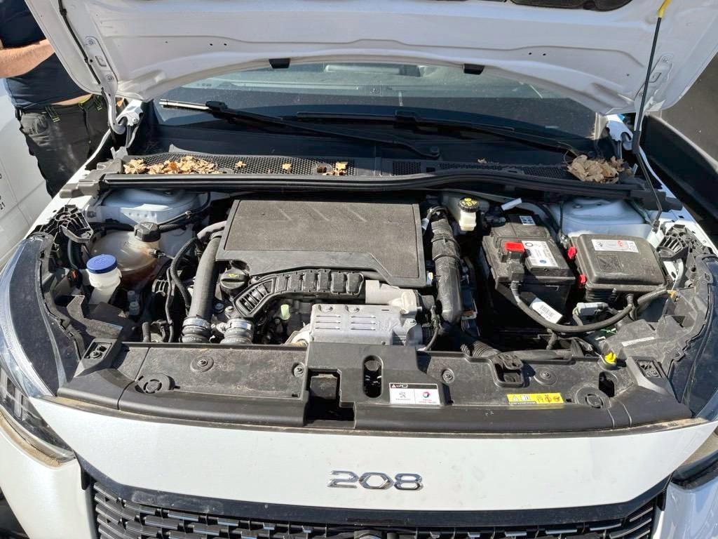 T10