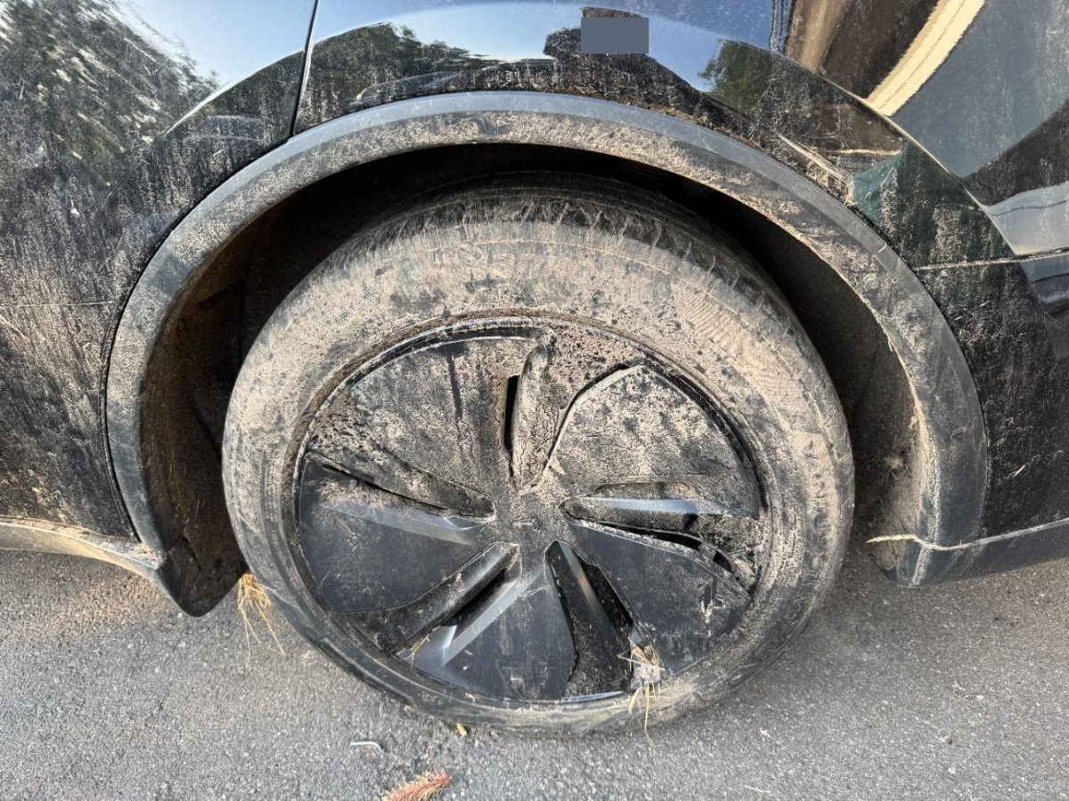 T16