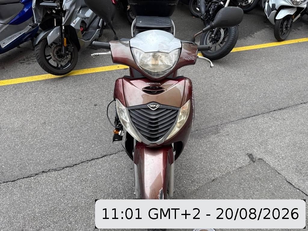 T6