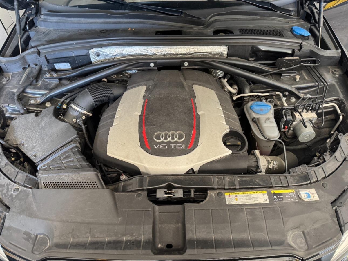 T11