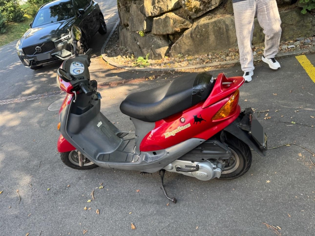 T6