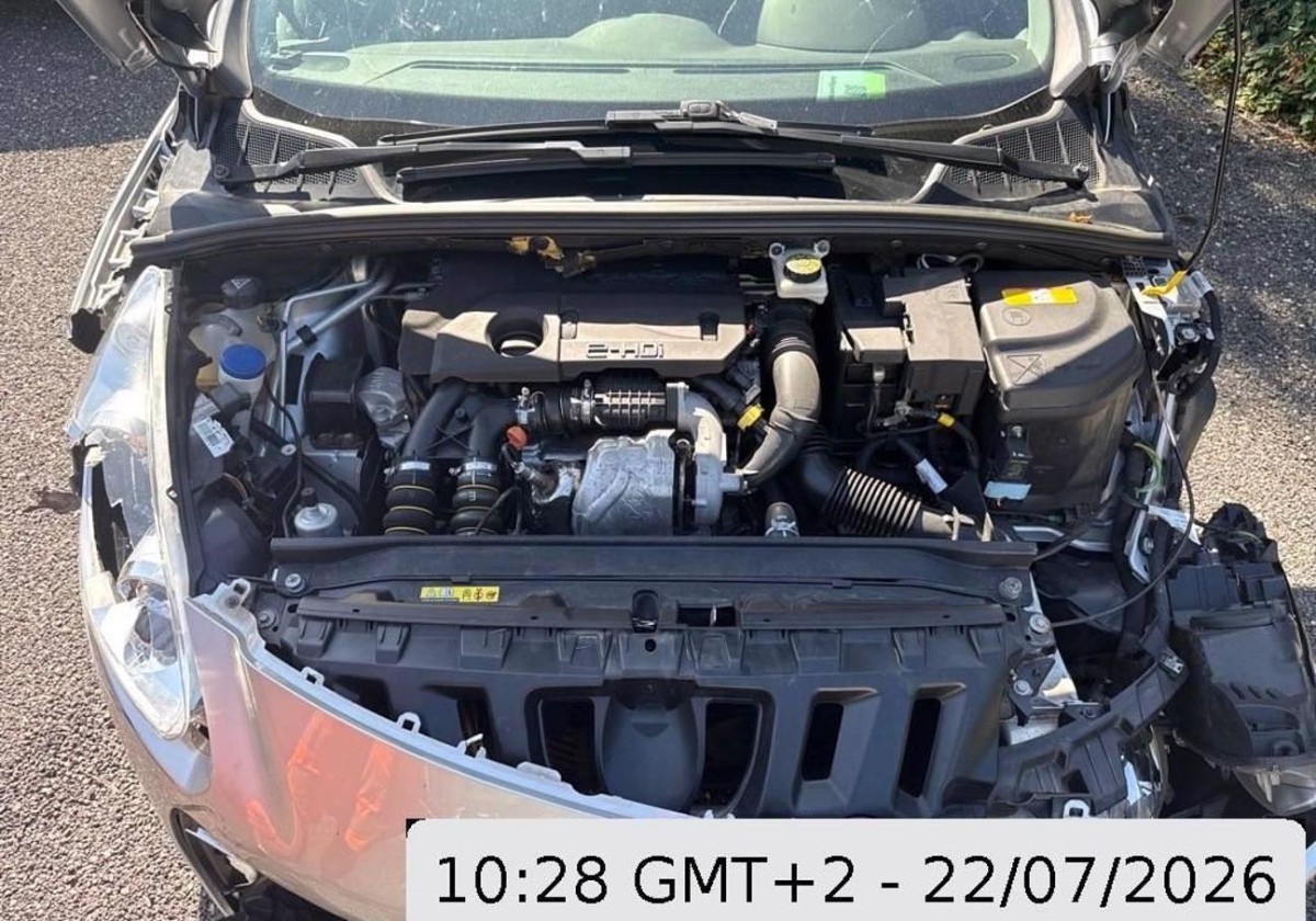 T12