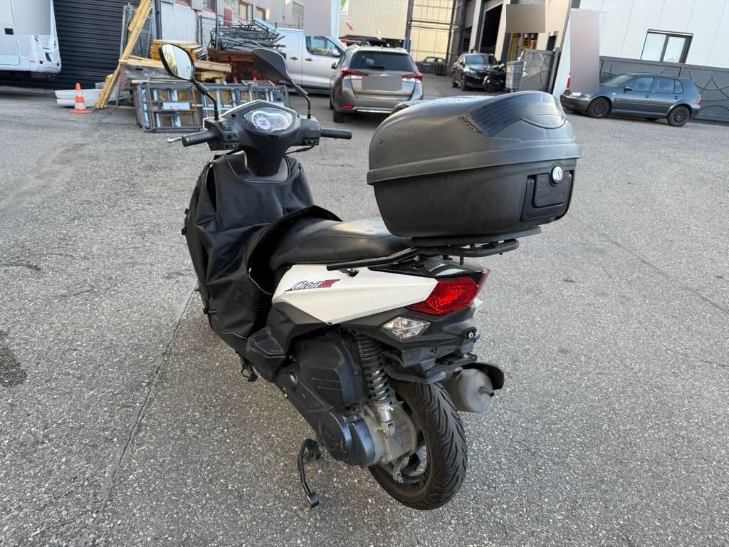 T5