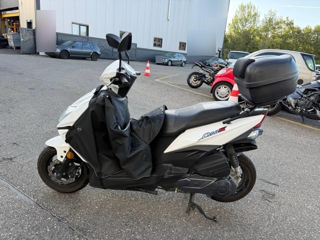 T6