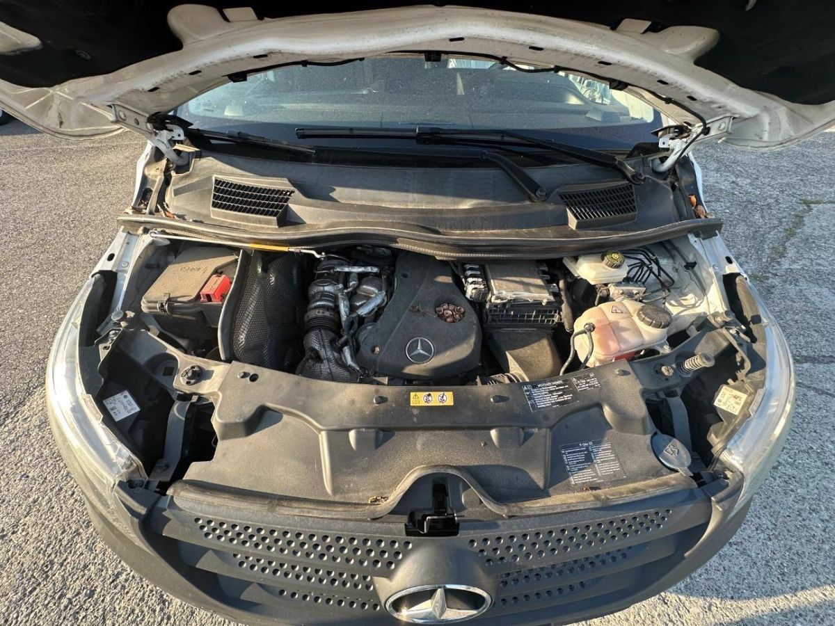 T13