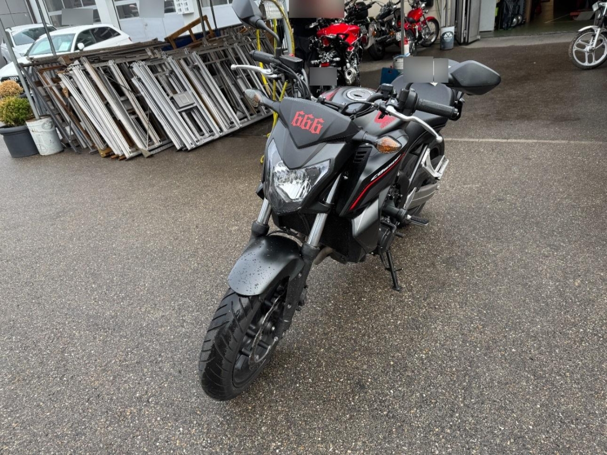 T6