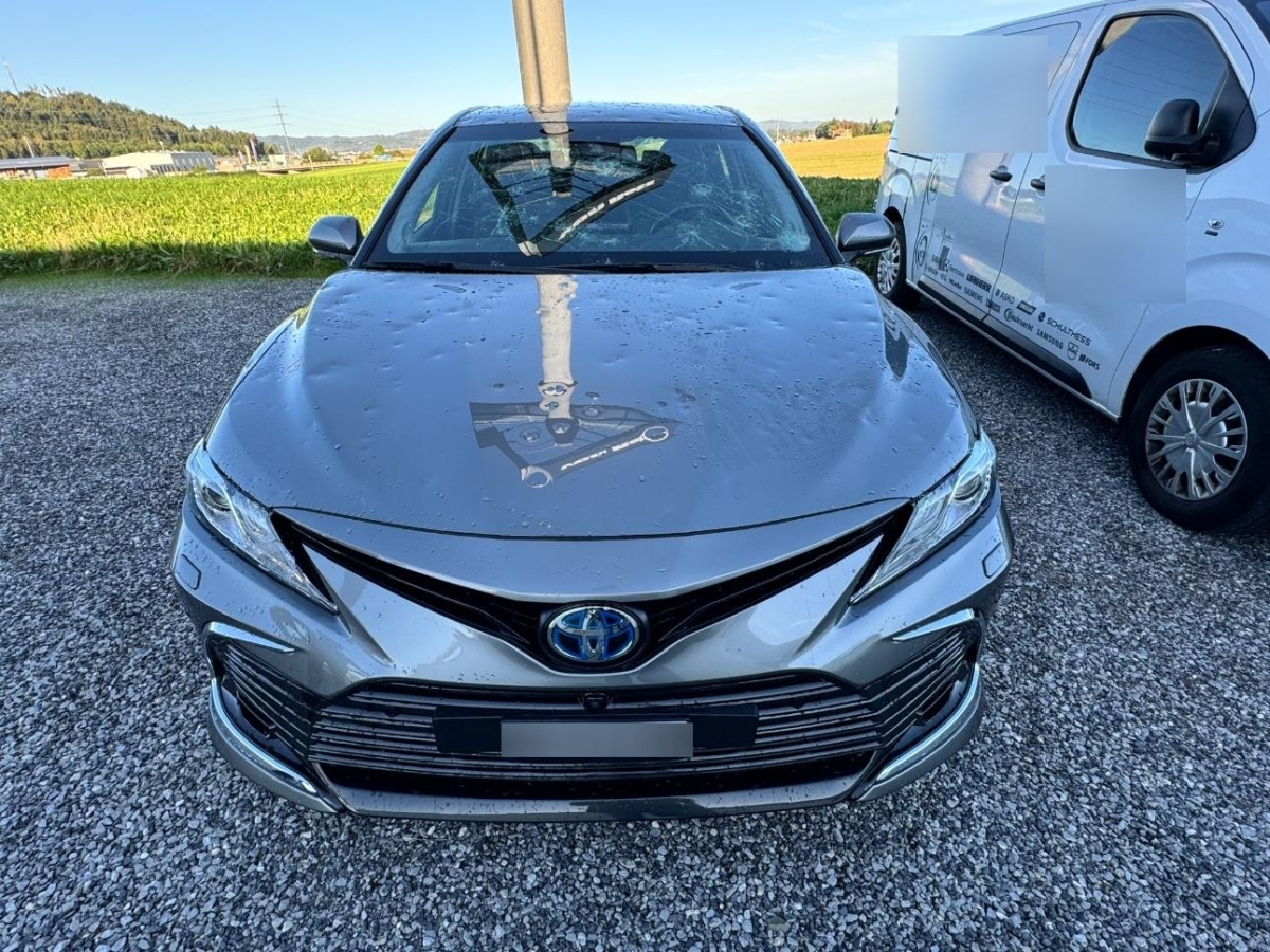 T5