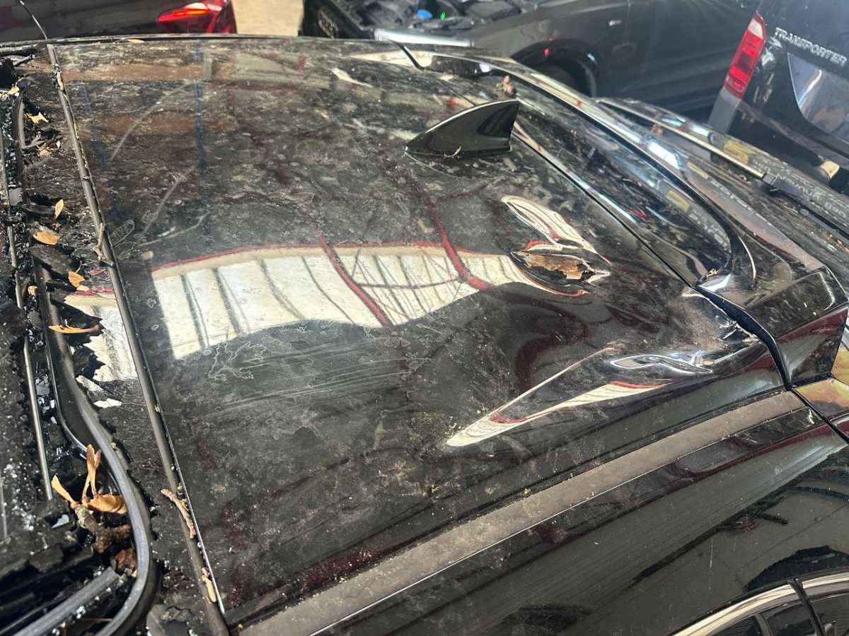 T15