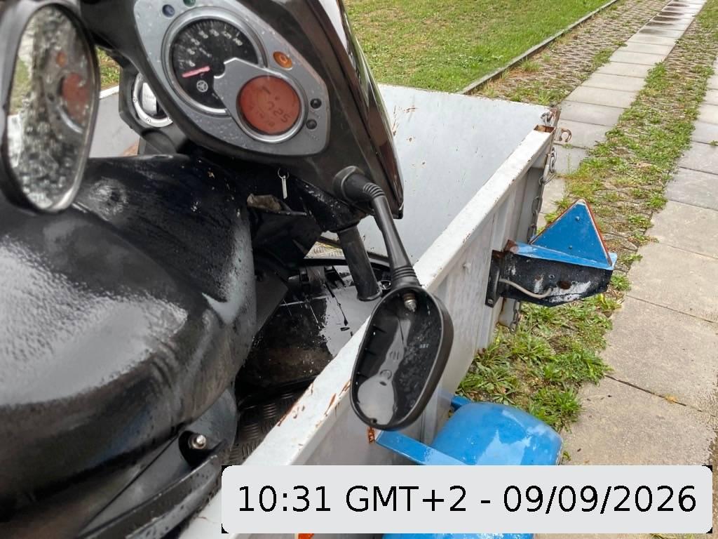 T11