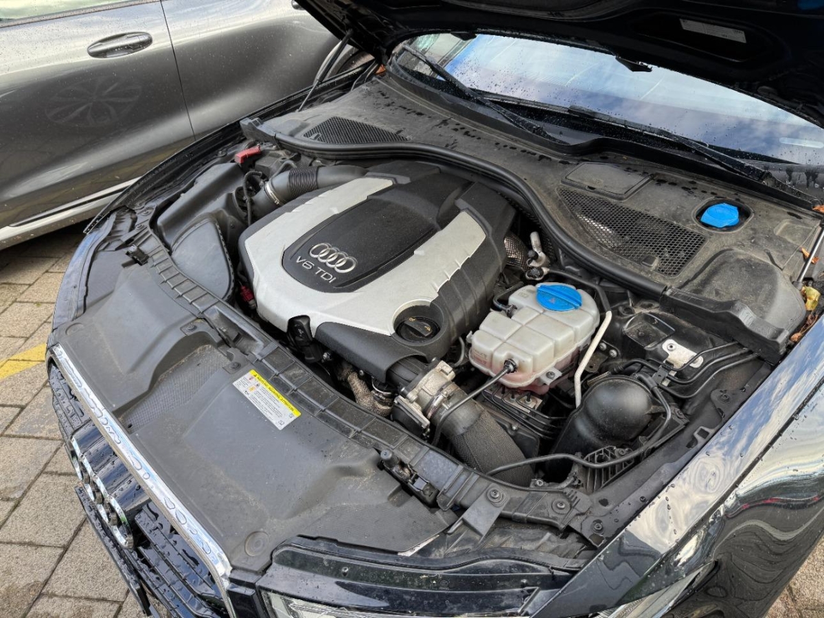 T11