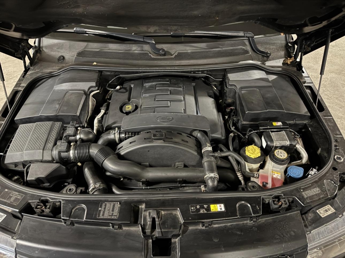 T13