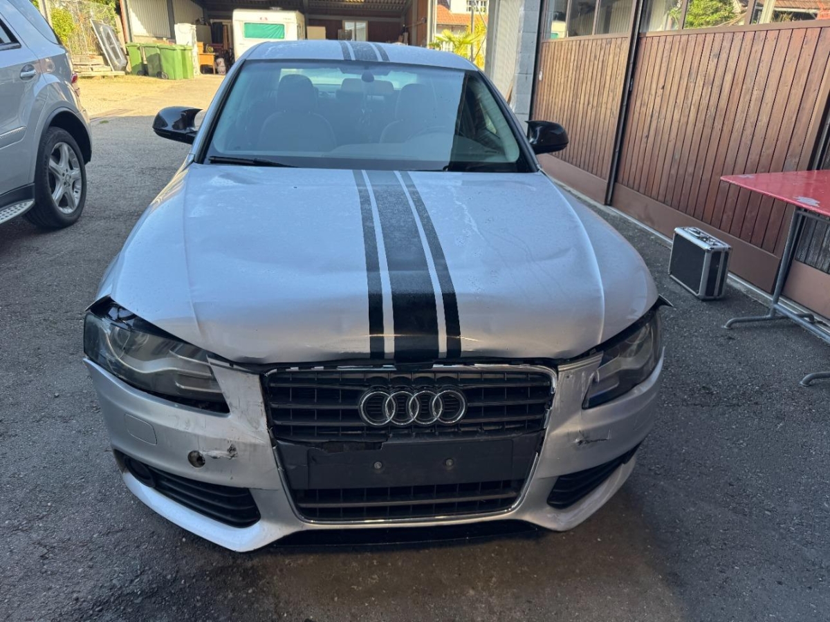 T6